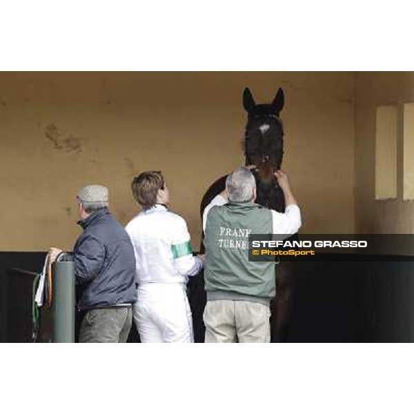 Maria Moneta preparing Prince Apollo Pisa - San Rossore racecourse, 4th march 2012 ph.Stefano Grasso