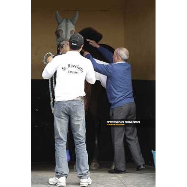 Marcialis preparing Morrocoy Pisa - San Rossore racecourse, 4th march 2012 ph.Stefano Grasso