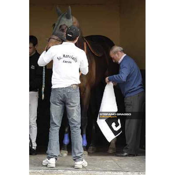 Marcialis preparing Morrocoy Pisa - San Rossore racecourse, 4th march 2012 ph.Stefano Grasso