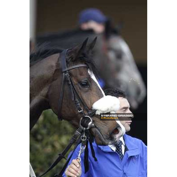 Saddar Pisa - San Rossore racecourse, 4th march 2012 ph.Stefano Grasso