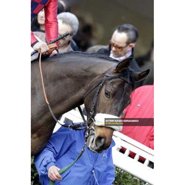 Fabio Branca on Jaalon Pisa - San Rossore racecourse, 4th march 2012 ph.Stefano Grasso