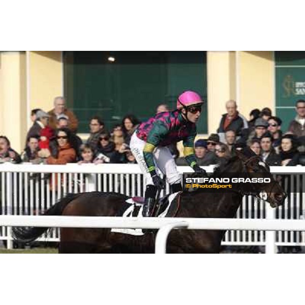 Cristiano di Stasio on Paso Lungo wins the Premio Thomas Rook Pisa - San Rossore racecourse, 4th march 2012 ph.Stefano Grasso