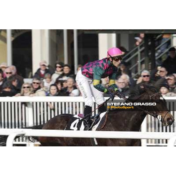 Cristiano di Stasio on Paso Lungo wins the Premio Thomas Rook Pisa - San Rossore racecourse, 4th march 2012 ph.Stefano Grasso