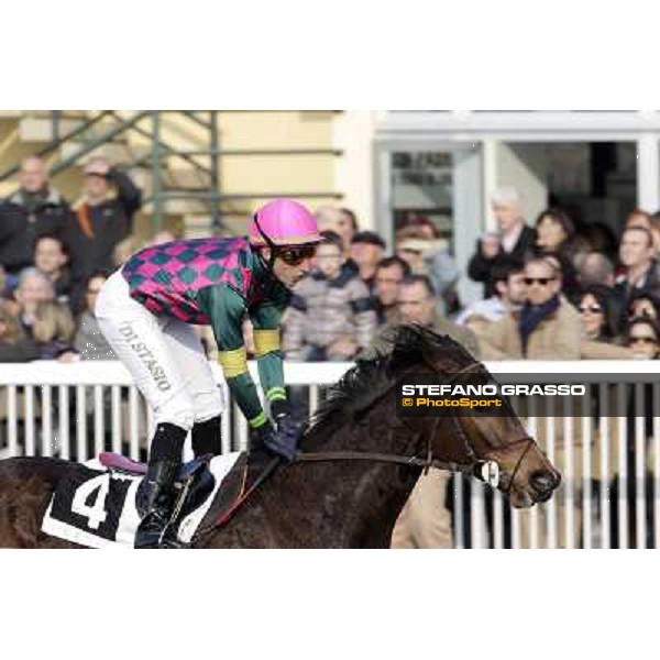 Cristiano di Stasio on Paso Lungo wins the Premio Thomas Rook Pisa - San Rossore racecourse, 4th march 2012 ph.Stefano Grasso