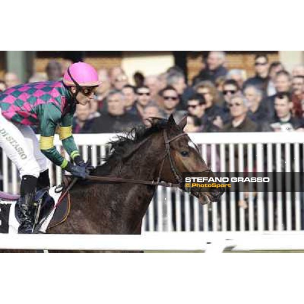 Cristiano di Stasio on Paso Lungo wins the Premio Thomas Rook Pisa - San Rossore racecourse, 4th march 2012 ph.Stefano Grasso