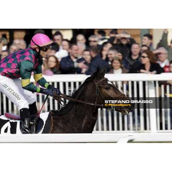 Cristiano di Stasio on Paso Lungo wins the Premio Thomas Rook Pisa - San Rossore racecourse, 4th march 2012 ph.Stefano Grasso