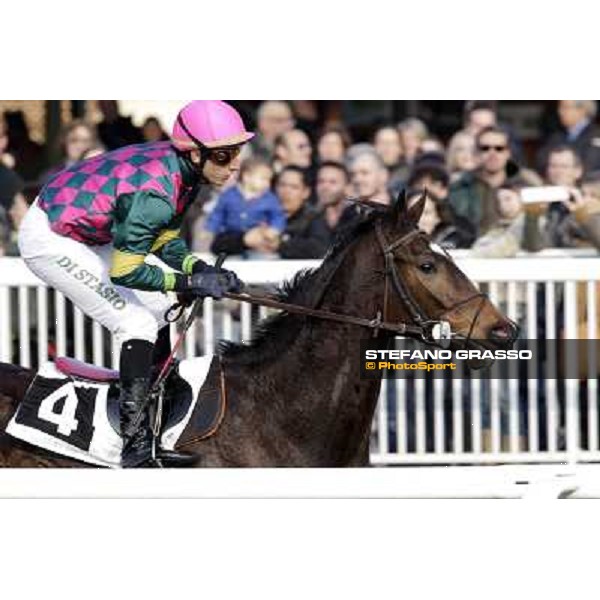 Cristiano di Stasio on Paso Lungo wins the Premio Thomas Rook Pisa - San Rossore racecourse, 4th march 2012 ph.Stefano Grasso