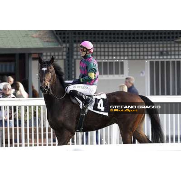 Cristiano di Stasio on Paso Lungo after winning the Premio Thomas Rook Pisa - San Rossore racecourse, 4th march 2012 ph.Stefano Grasso