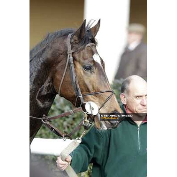 Paso Lungo after winning the Premio Thomas Rook Pisa - San Rossore racecourse, 4th march 2012 ph.Stefano Grasso