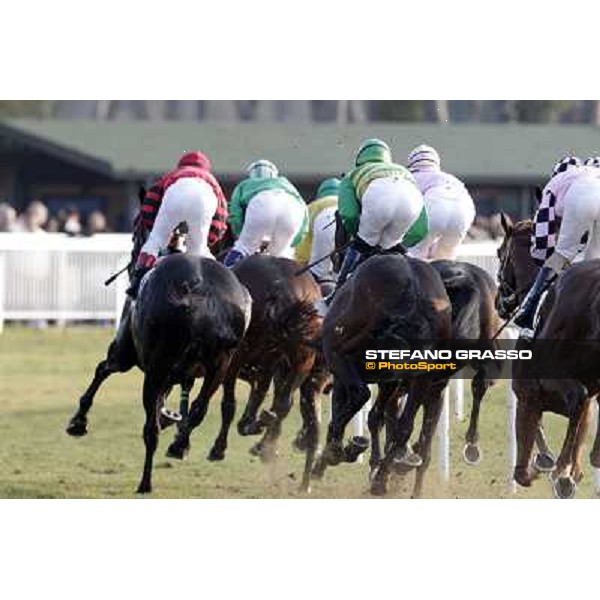 Racing - Premio Barbaricina Pisa - San Rossore racecourse, 4th march 2012 ph.Stefano Grasso