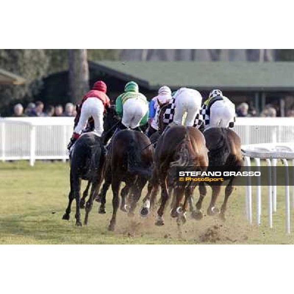 Racing - Premio Barbaricina Pisa - San Rossore racecourse, 4th march 2012 ph.Stefano Grasso