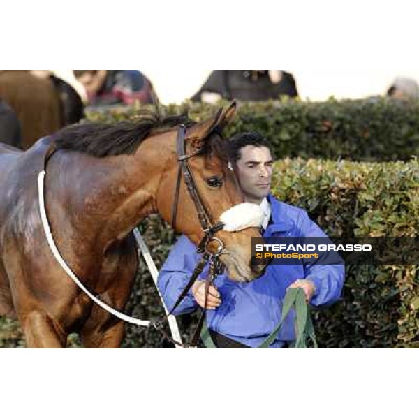 Cash Finance walking after the race Pisa - San Rossore racecourse, 4th march 2012 ph.Stefano Grasso