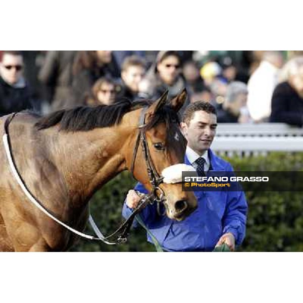 Cash Finance walking after the race Pisa - San Rossore racecourse, 4th march 2012 ph.Stefano Grasso