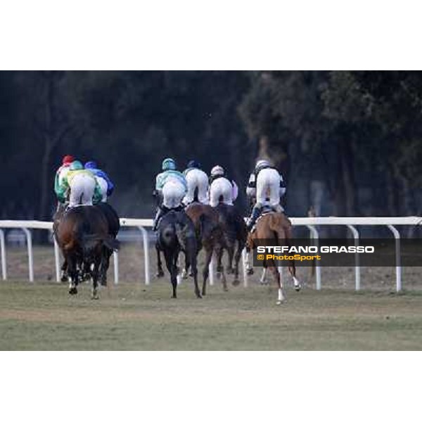 Racing Pisa - San Rossore racecourse, 4th march 2012 ph.Stefano Grasso