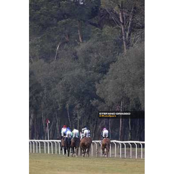 Racing Pisa - San Rossore racecourse, 4th march 2012 ph.Stefano Grasso