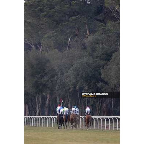 Racing Pisa - San Rossore racecourse, 4th march 2012 ph.Stefano Grasso