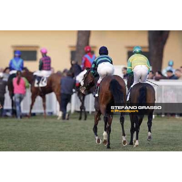 The horses return home after the race Pisa - San Rossore racecourse, 4th march 2012 ph.Stefano Grasso