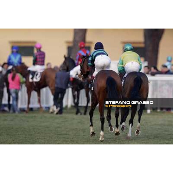 The horses return home after the race Pisa - San Rossore racecourse, 4th march 2012 ph.Stefano Grasso