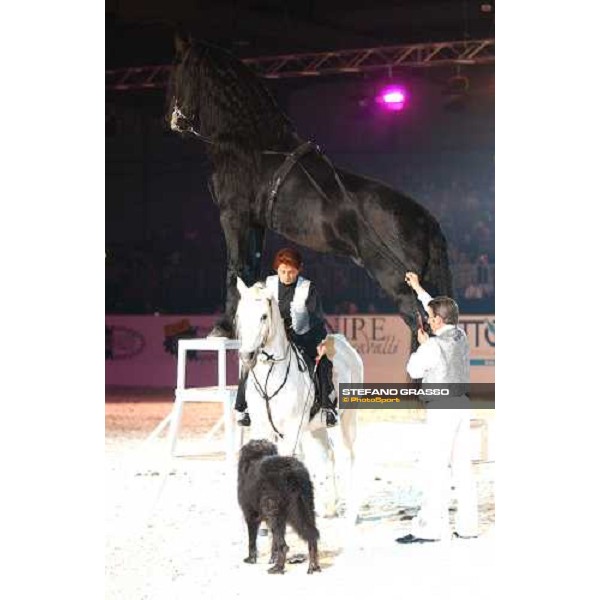 Galà d\' Oro - show equestre Fiera Cavalli 2004 Verona, 6 ottobre 2004 ph. Stefano Grasso