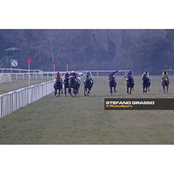 The straight of Premio Federico Regoli won by Fabio Branca on Marshade Pisa - San Rossore racecourse, 4th march 2012 ph.Stefano Grasso