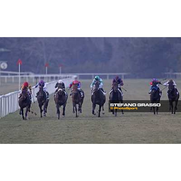 The straight of Premio Federico Regoli won by Fabio Branca on Marshade Pisa - San Rossore racecourse, 4th march 2012 ph.Stefano Grasso