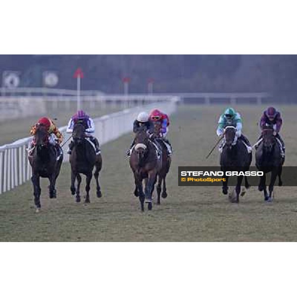 The straight of Premio Federico Regoli won by Fabio Branca on Marshade Pisa - San Rossore racecourse, 4th march 2012 ph.Stefano Grasso