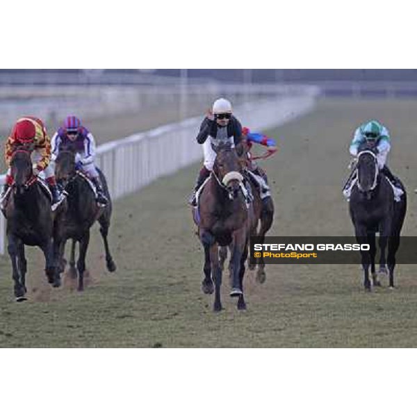 Fabio Branca on Marshade wins the Premio Federico Regoli Pisa - San Rossore racecourse, 4th march 2012 ph.Stefano Grasso