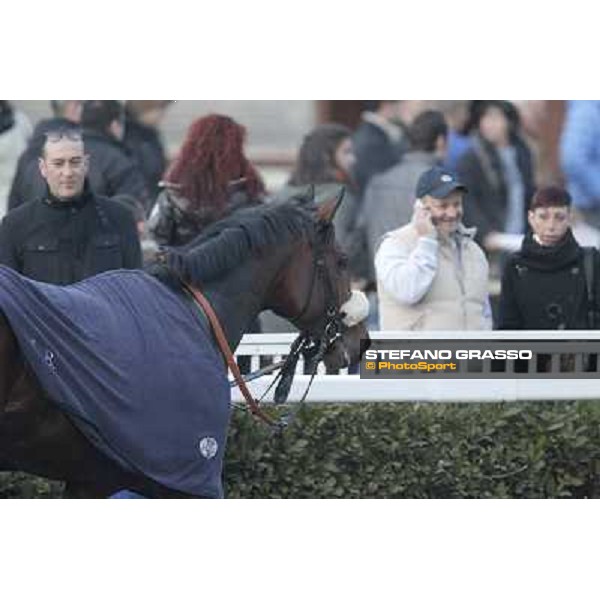 Marshade after winning the Premio Federico Regoli Pisa - San Rossore racecourse, 4th march 2012 ph.Stefano Grasso