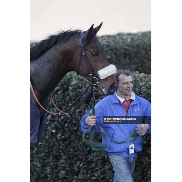 Marshade after winning the Premio Federico Regoli Pisa - San Rossore racecourse, 4th march 2012 ph.Stefano Grasso