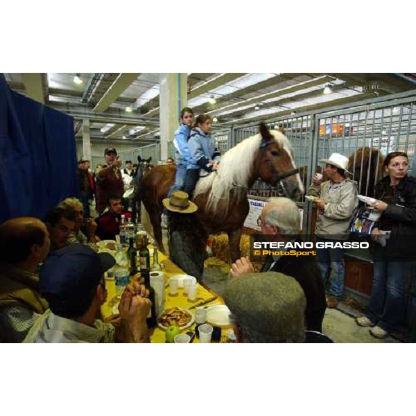 stand T.P.R. San Rossore Fiera Cavalli 2004 Verona, 6 ottobre 2004 ph. Stefano Grasso