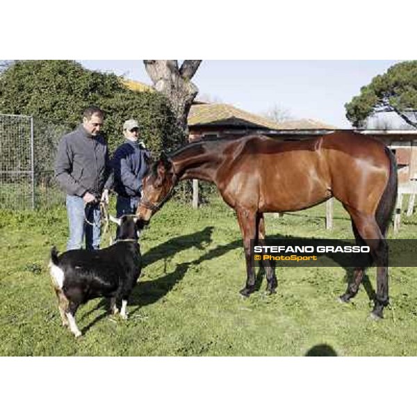Luigi Riccardi, Quiza Quiza Quiza and Bebba Rome Capannelle, 8th march 2012 ph.Stefano Grasso