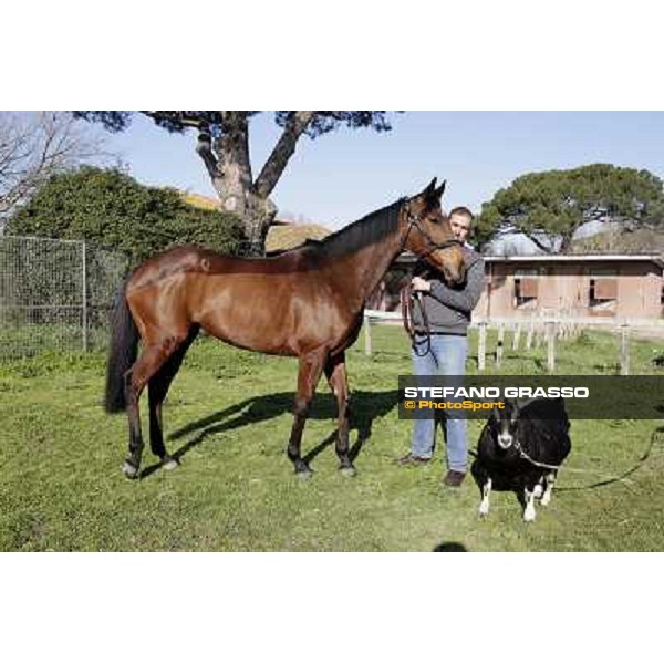 Luigi Riccardi, Quiza Quiza Quiza and Bebba Rome Capannelle, 8th march 2012 ph.Stefano Grasso