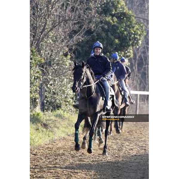 Pemesso leads the group of horses in training at Luigi Riccardi\'s stud Rome Capannelle, 8th march 2012 ph.Stefano Grasso