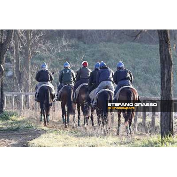Horses in training at Luigi Riccardi\'s stud Rome Capannelle, 8th march 2012 ph.Stefano Grasso