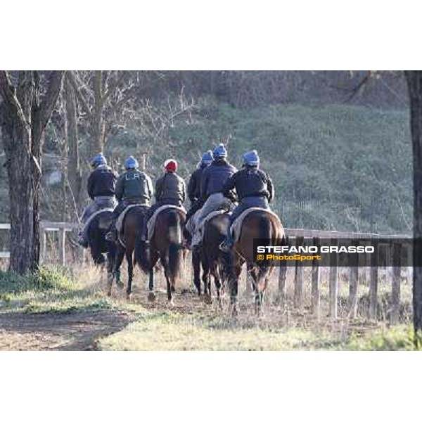 Horses in training at Luigi Riccardi\'s stud Rome Capannelle, 8th march 2012 ph.Stefano Grasso