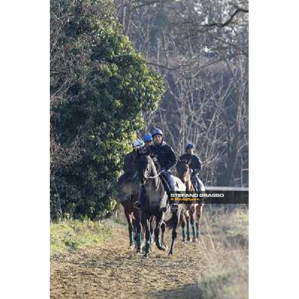 Pemesso leads the group of horses in training at Luigi Riccardi\'s stud Rome Capannelle, 8th march 2012 ph.Stefano Grasso