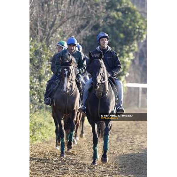 Pemesso leads the group of horses in training at Luigi Riccardi\'s stud Rome Capannelle, 8th march 2012 ph.Stefano Grasso