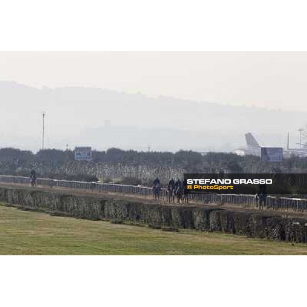 Horses in training at Luigi Riccardi\'s stud Rome Capannelle, 8th march 2012 ph.Stefano Grasso