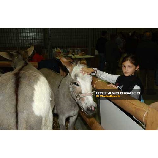  Fiera Cavalli 2004 Verona, 6 ottobre 2004 ph. Stefano Grasso