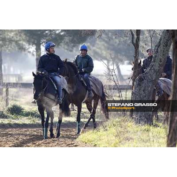 Pemesso leads the group of horses in training at Luigi Riccardi\'s stud Rome Capannelle, 8th march 2012 ph.Stefano Grasso