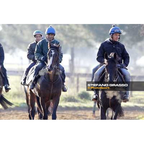 Pemesso leads the group of horses in training at Luigi Riccardi\'s stud Rome Capannelle, 8th march 2012 ph.Stefano Grasso