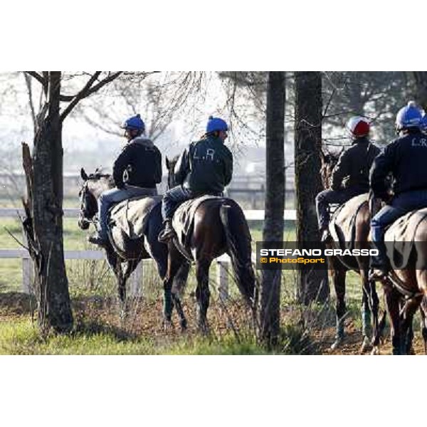 Pemesso leads the group of horses in training at Luigi Riccardi\'s stud Rome Capannelle, 8th march 2012 ph.Stefano Grasso