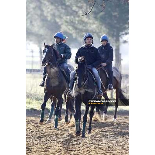 Pemesso leads the group of horses in training at Luigi Riccardi\'s stud Rome Capannelle, 8th march 2012 ph.Stefano Grasso