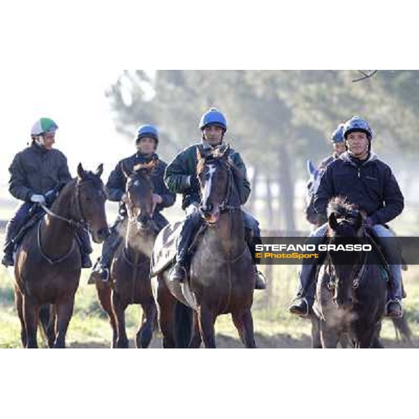 Pemesso leads the group of horses in training at Luigi Riccardi\'s stud Rome Capannelle, 8th march 2012 ph.Stefano Grasso