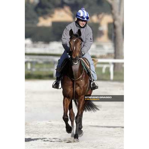 Quiza Quiza Quiza on training at Luigi Riccardi\'s racing Rome, Capannelle racecourse 13rd march 2012 ph.Stefano Grasso