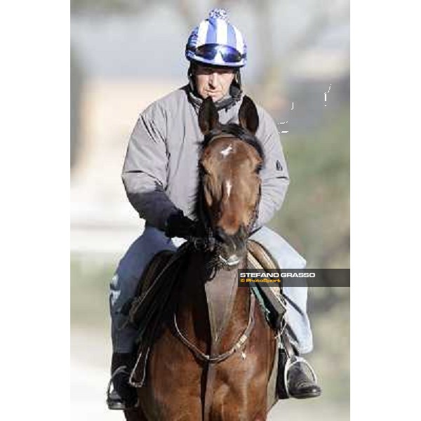 Quiza Quiza Quiza on training at Luigi Riccardi\'s racing Rome, Capannelle racecourse 13rd march 2012 ph.Stefano Grasso