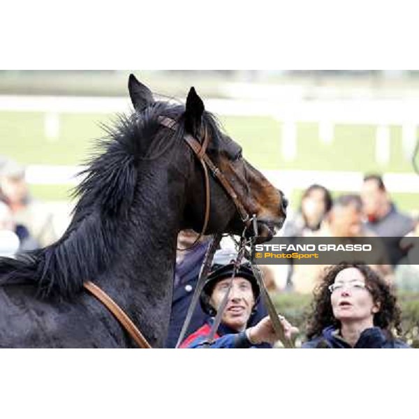 Luca Maniezzi and Silver Arrow Milano - San Siro racecourse,18th march 2012 ph.Stefano Grasso