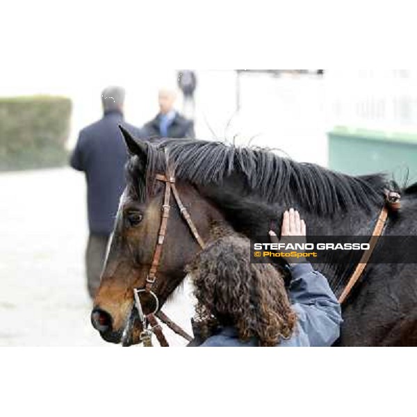 a caress for Silver Arrow Milano - San Siro racecourse,18th march 2012 ph.Stefano Grasso