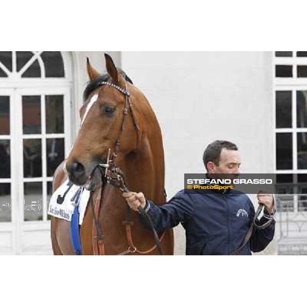 Lui e la Luna parading before the race Milano - San Siro racecourse,18th march 2012 ph.Stefano Grasso