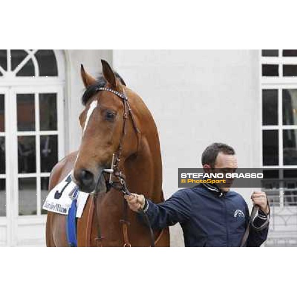 Lui e la Luna parading before the race Milano - San Siro racecourse,18th march 2012 ph.Stefano Grasso